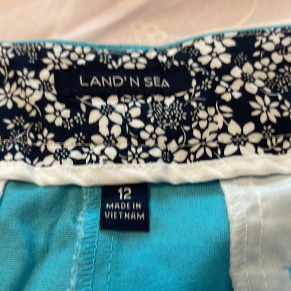 Shorts - Picture 2 of 5